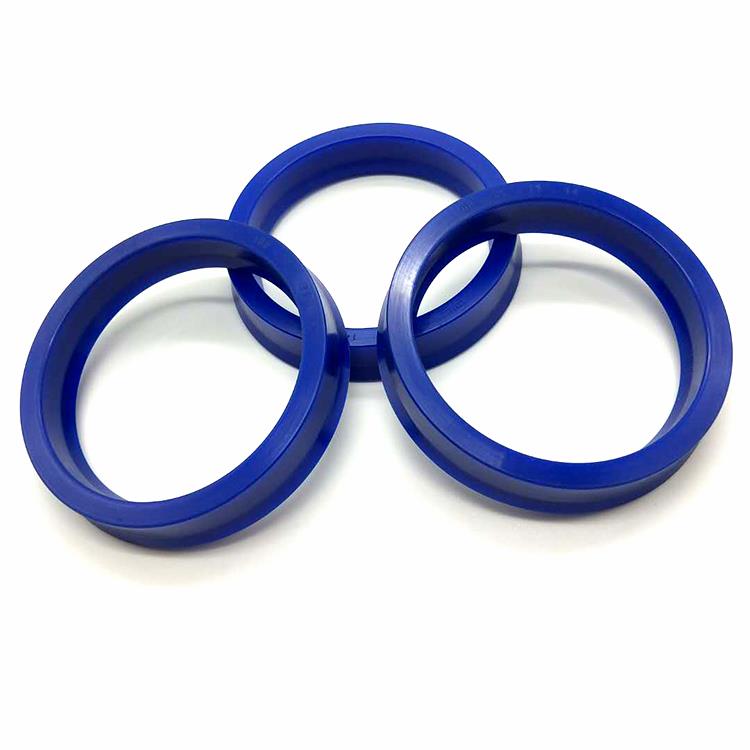 IDU piston seal (12).jpg