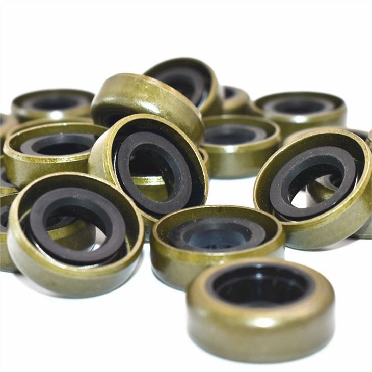 custom oil seal9